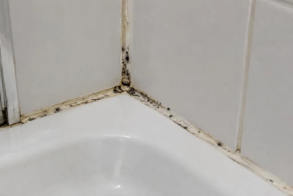 Kitbedrijf Oudewater – beschimmelde kitranden